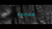 牛农的成语