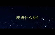 成语什么析