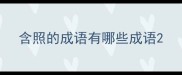 含照的成语有哪些成语