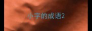 小字的成语