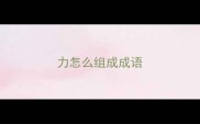 力怎么组成成语