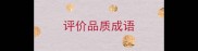 评价品质成语