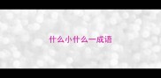 什么小什么一成语