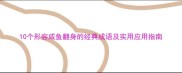 10个形容咸鱼翻身的经典成语及实用应用指南