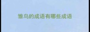 雏鸟的成语有哪些成语