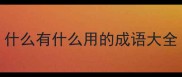 什么有什么用的成语大全