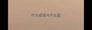 什么成语斗什么星