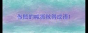做贼的喊抓贼得成语
