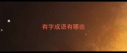 有字成语有哪些