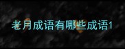 老月成语有哪些成语