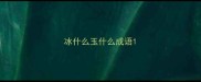 冰什么玉什么成语