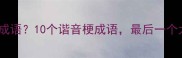 什么目不成语10个谐音梗成语最后一个太意外