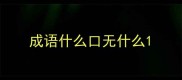成语什么口无什么