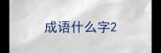 成语什么字