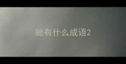 驰有什么成语