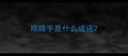眼睛手是什么成语