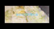 缺的成语有哪些成