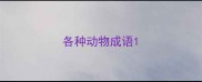 各种动物成语