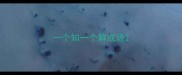 一个知一个解成语