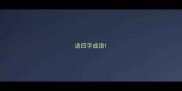 适四字成语