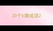 20个X猜成语