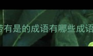 带有是的成语有哪些成语
