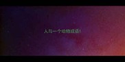 人与一个动物成语