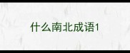 什么南北成语