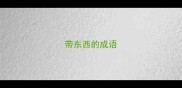 带东西的成语