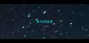 跟马的成语