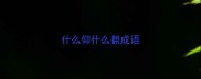 什么仰什么翻成语