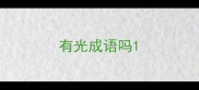 有光成语吗
