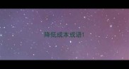 降低成本成语