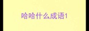 哈哈什么成语