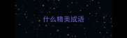 什么精美成语