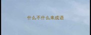什么不什么来成语