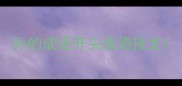 孙的成语开头成语接龙