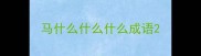 马什么什么什么成语