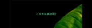 小丑木头猜成语