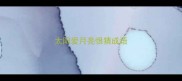 太阳爱月亮恨猜成语