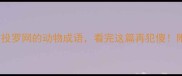 10个比喻自投罗网的动物成语看完这篇再犯傻附避坑指南