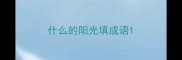 什么的阳光填成语