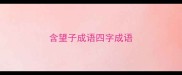 含望子成语四字成语