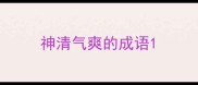 神清气爽的成语