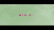 成语风