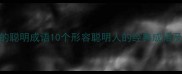 带袖的聪明成语10个形容聪明人的经典成语及用法