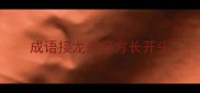 成语接龙来日方长开头