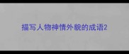 描写人物神情外貌的成语