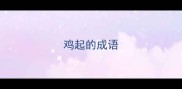 鸡起的成语