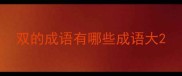 双的成语有哪些成语大